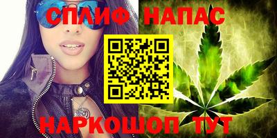 PSILOCYBIN Анжеро-Судженск